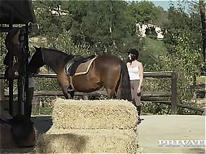 horse Rider Yasmin Scott rails a hung Stallion
